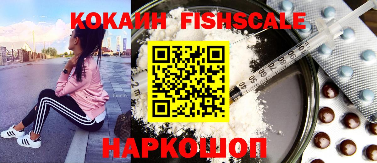 Георгиевск  Кокаин VHQ  COCAIN Fish Scale  Вход с VPN 