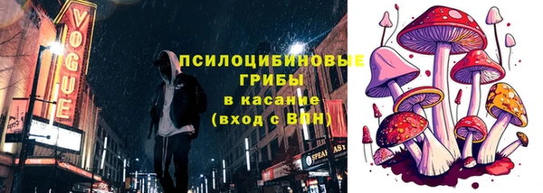 прущий лед Михайлов