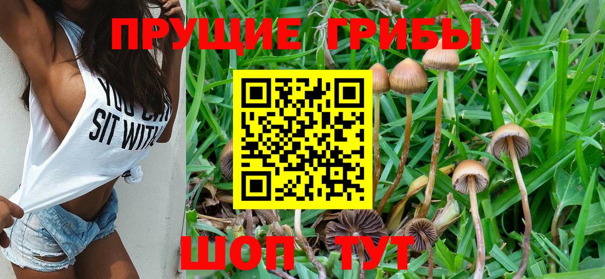 Галлюциногенные грибы Cubensis  Вход с VPN  Псилоцибиновые грибы Psilocybe  Георгиевск 